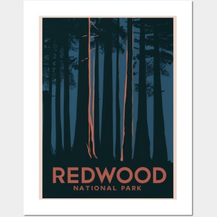 Giant Redwood of California Redwood National Park Posters and Art